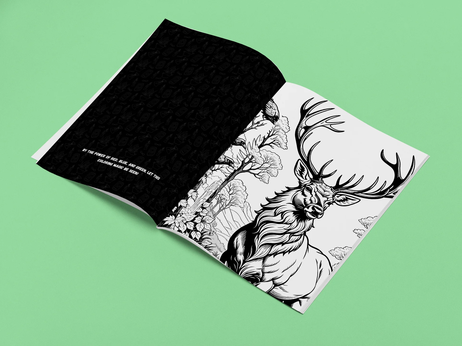 Bewitched by Color – A Coloring Spell Book (Volume II) detail image